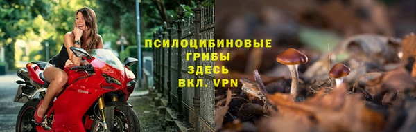 гашиш Богданович