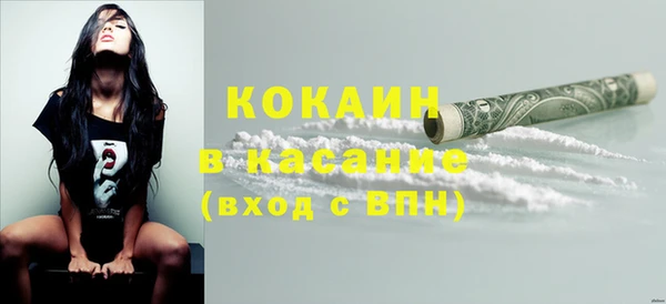 гашиш Богданович