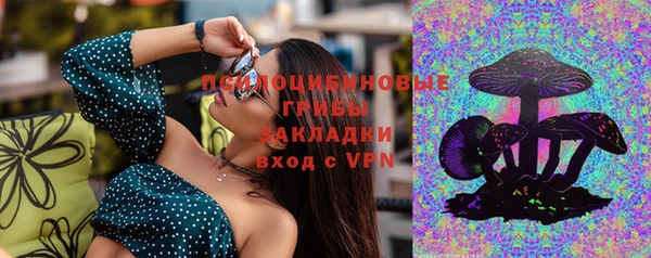гашиш Богданович