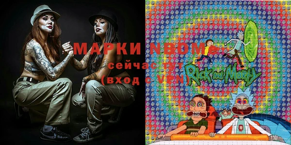 гашиш Богданович