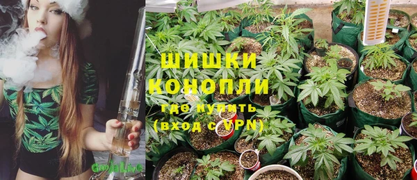 гашиш Богданович