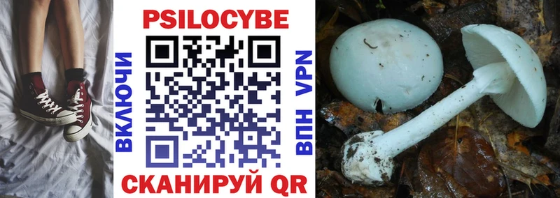 Купить где  Выкса  Галлюциногенные грибы GOLDEN TEACHER 
